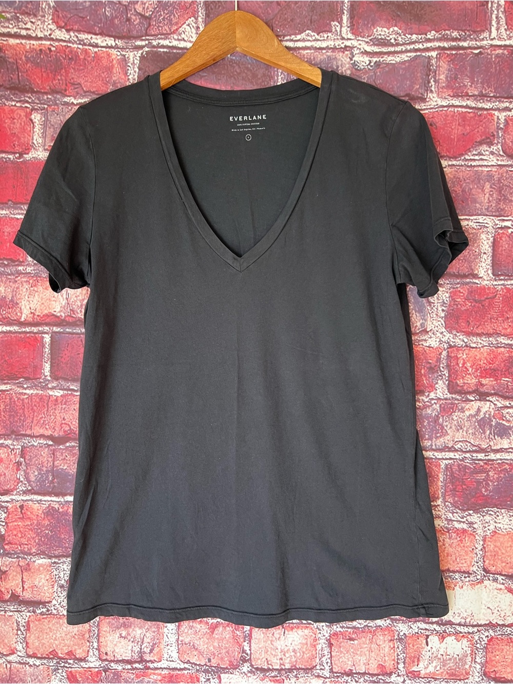 Everlane Black 100% Supima Cotton V-Neck T-Shirt